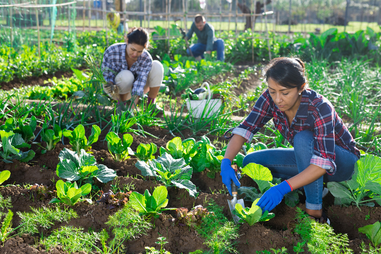 Food-Sovereignty-2